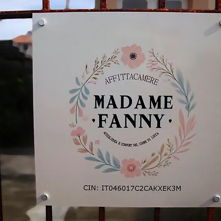 Viola In Zona Tranquilla - Madame Fannj