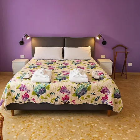 Viola In Zona Tranquilla - Madame Fannj Lucca