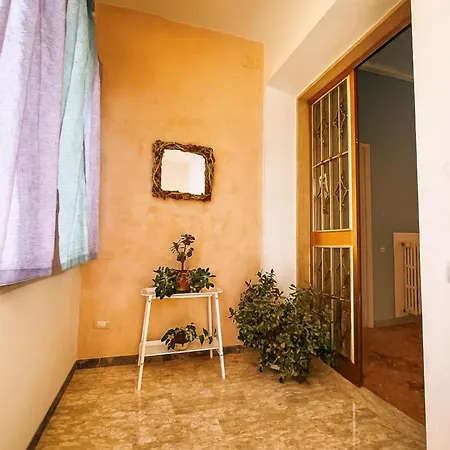 Viola In Zona Tranquilla - Madame Fannj Lucca